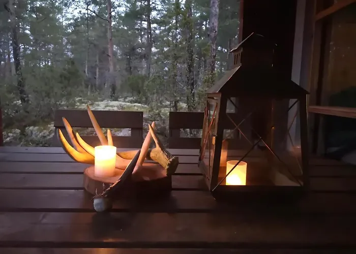 Pinetree Log Дом отдыха Pyharanta